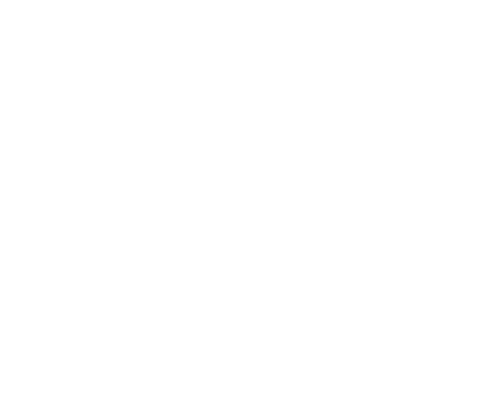 Verba AI
